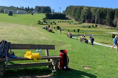 Geräumige Ferienwohnung bei Willingen mit ...