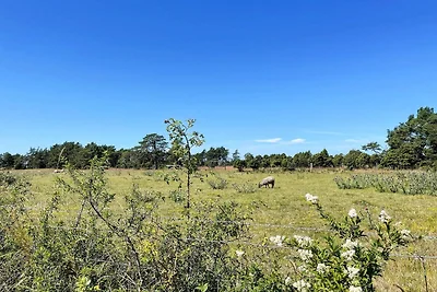 4 Sterne Ferienhaus in Fårö
