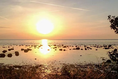 4 gwiazdkowy apartament w VISBY