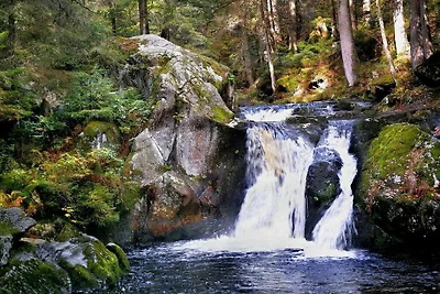 Ferienwohnung mit 1 Schlafzimmer