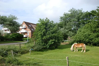Ferienwohnung mit 2 Schlafzimmer