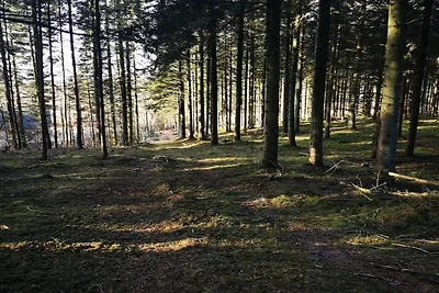 8 Personen Ferienhaus in Løgstør-By Traum