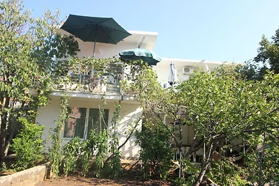 Wohnung in Starigrad Paklenica