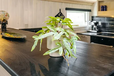 4 Personen Ferienhaus in Thisted-By Traum