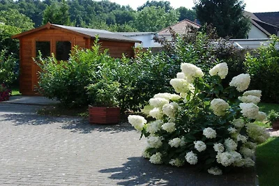 Silbermöwe im Haus Glückauf