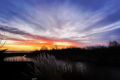 Ferienhaus in Makkum mit Barbecue
