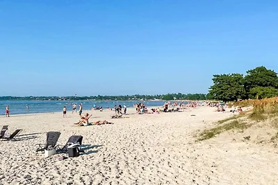4 Personen Ferienhaus in BORGHOLM