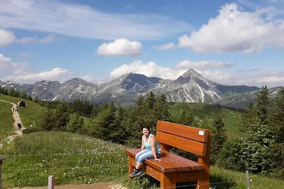 Dischler panoramic view