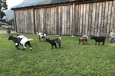 Kuća za odmor Dopust za oporavak Bichlbach