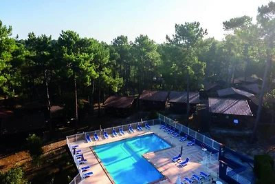 Wohnung im Pinienwald nahe Ozean