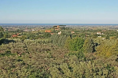 Villa Stauder - Ferienwohnung Olivi