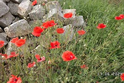 Kuća za odmor Dopust za oporavak Krausnick-Groß Wasserburg
