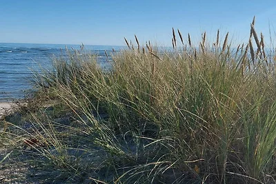12 Personen Ferienhaus in Hals-By Traum