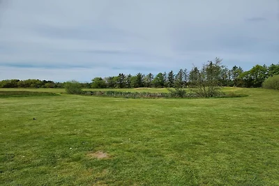 6 Personen Ferienhaus in Pandrup-By Traum