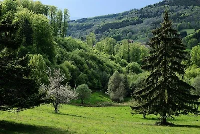 VVF Les Fontaines des Vosges