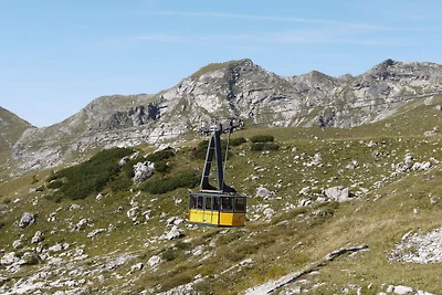 Steinbock im Landhaus am Bächle