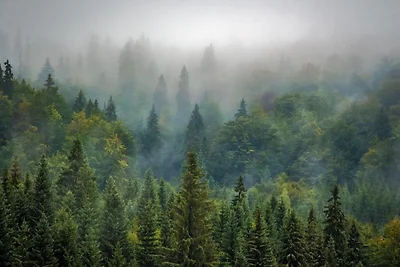 Moderna casa vacanze vicino alla foresta