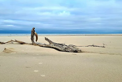 8 persoons vakantie huis in Bindslev-By Traum