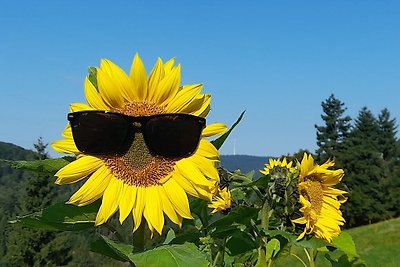 Wohnung im Schwarzwald mit Garten