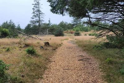 6 Personen Ferienhaus in Løkken-By Traum