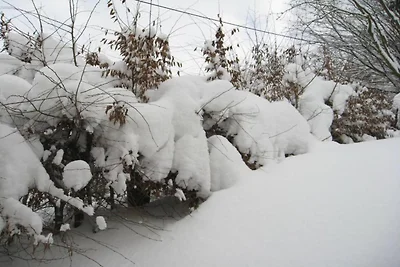 Ferienhaus in Willingen nahe Skipisten