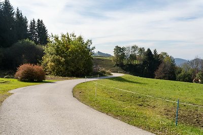 Ferienhaus Erholungsurlaub Sankt Veit an der Glan