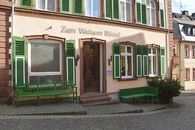 Ferienhaus in �rzig in Waldnהhe
