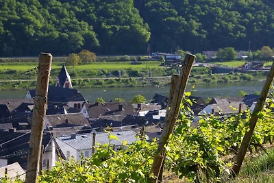 Maison de vacances à Müden avec piscine