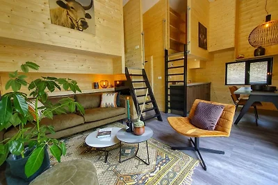 Nice house with pellet stove near Maasduinen