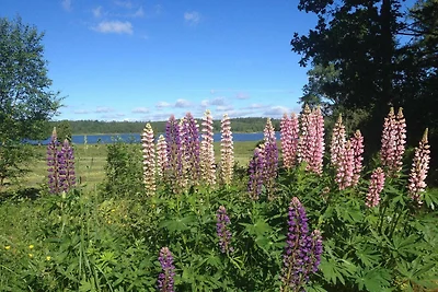4 persone case ad HÖKERUM-By Traum