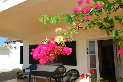 Ferienhaus in Algarve mit 3 Schlafzimmer
