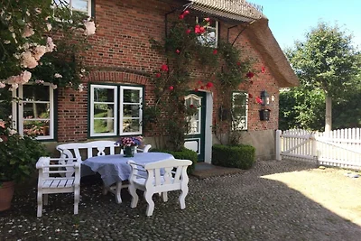 Vakantiehuis in Midlum met zwembad