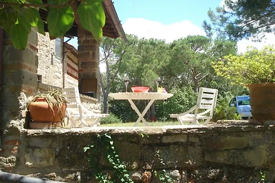 Casa vacanze rustica a Borgo San Lorenzo con...