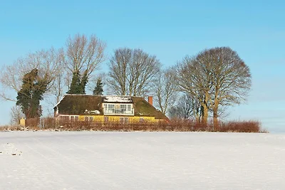 14 Personen Ferienhaus in Havndal-By Traum