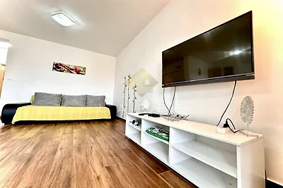 Apartments House Vukman - One Bedroom...