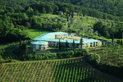 Wohnung mit Klimaanlage in Chianti