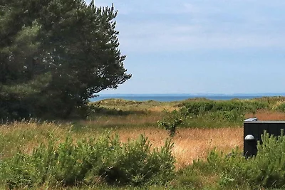 12 persoons vakantie huis in Læsø-By Traum