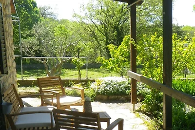 One Bedroom Apartment with Terrace