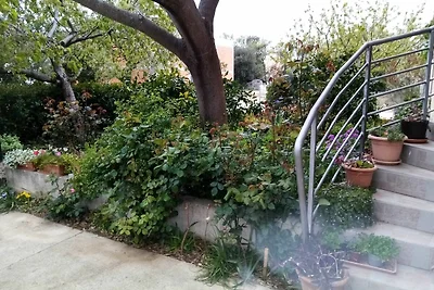 Apartments Vanja Škara Biograd - Studio Apart...