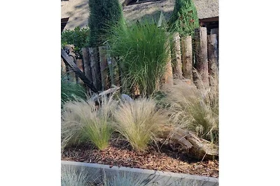 Seeluft Komfortable Ferienresidenz