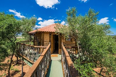 Ländliches Landhaus auf Mallorca