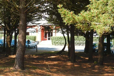 Ferienwohnung in unmittelbarer Strandlage,Beg...