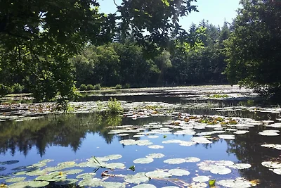 Verstecktes Strandrefugium -- By Traum...