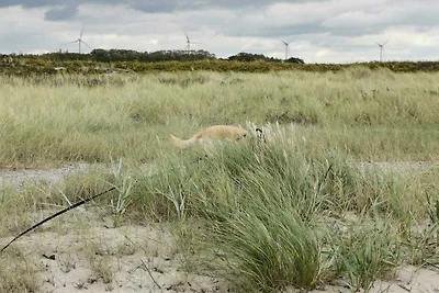 8 Personen Ferienhaus in Dannemare-By Traum