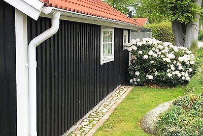 4 sterren vakantie huis in SÖLVESBORG