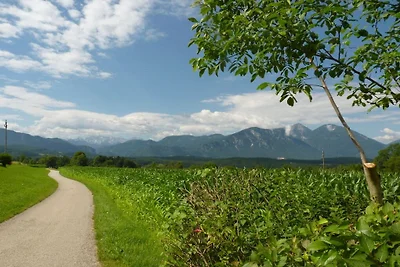 "Zak" Klopeiner See