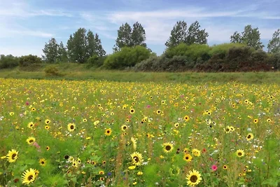 Heerlijke woning in de natuur