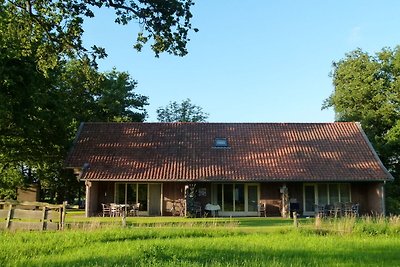 Ruhig gelegenes Ferienhaus in Geesteren für...