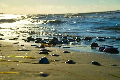 6 Personen Ferienhaus in Sydals-By Traum