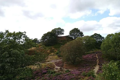 8 Personen Ferienhaus in Gjern-By Traum